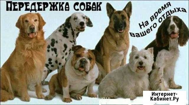 Передержка Сургут - изображение 1