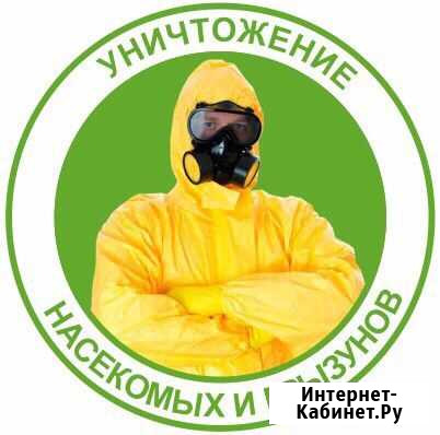Уничтожение насекомых Курган - изображение 1