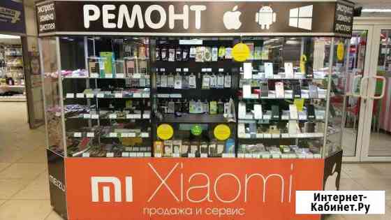Профессиональный ремонт смартфонов и планшетов Железногорск