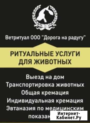 Гуманная эвтаназия с погружением в глубокий наркоз Мурманск - изображение 1