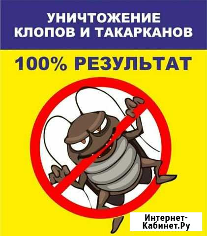 Уничтожение клопов, тараканов, муравьев и клещей Тамбов - изображение 1