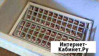 Инкубаторы на заказ Чебоксары