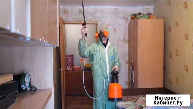 Дезинсекция, уничтожение клопов, тараканов Дзержинск - изображение 1