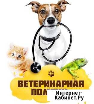 Ветеринарный врач Кореновск - изображение 1