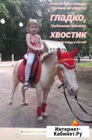 Пони на ваш праздник Люберцы