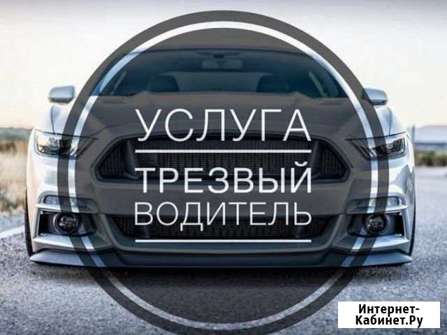 Трезвый водитель (В,С) Воронеж - изображение 1