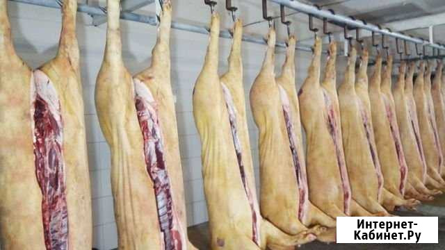 Свинина с бойни Рязань - изображение 1