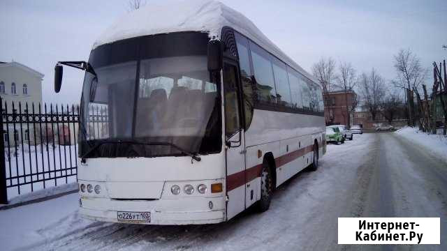 Заказ автобуса 47 мест Новосибирск - изображение 1