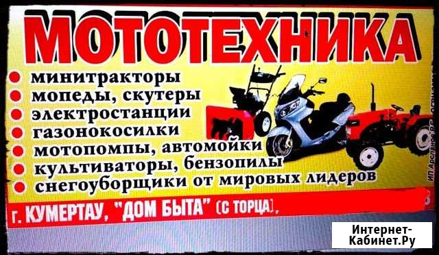 Ремонт бензоинструментов,бензопил,мопедов снегоубо Кумертау - изображение 1
