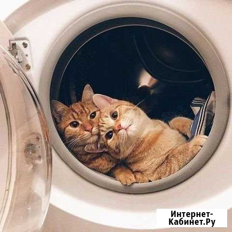 Ремонт стиральных машин, скупка, утилизация Ачинск - изображение 1
