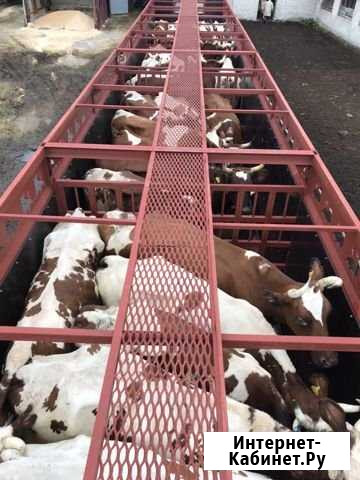 Скотовоз Перевозка Скота Рязань - изображение 1