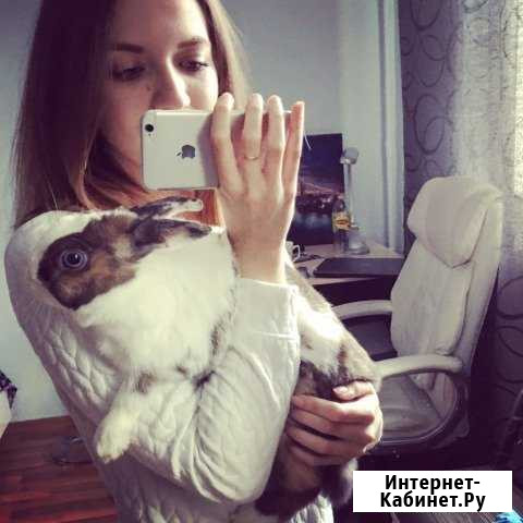 Передержка животных Химки - изображение 1