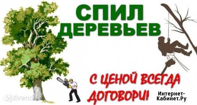 Спил деревьев Обнинск - изображение 1