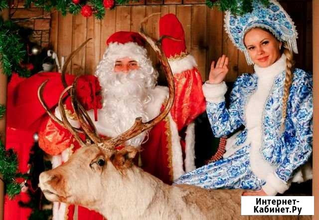 Дед мороз и снегурочка на дом Владимир - изображение 1