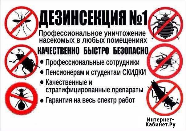 Уничтожение тараканов, клопов, блох и др Хабаровск - изображение 1