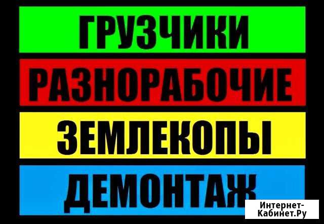 Грузчики/Газели/Переезды/Пианино/Заволжье Ульяновск - изображение 1