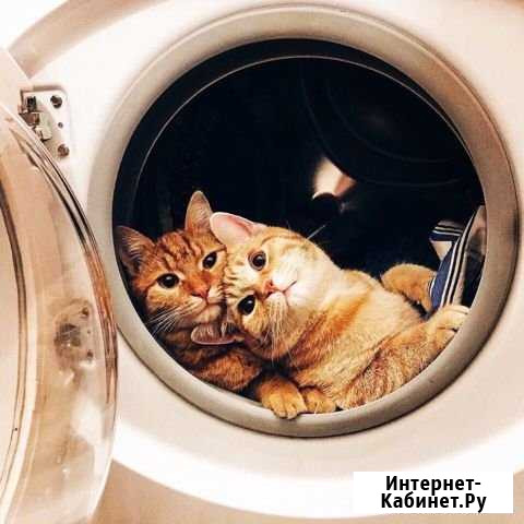 Ремонт стиральных машин на дому Арзамас - изображение 1