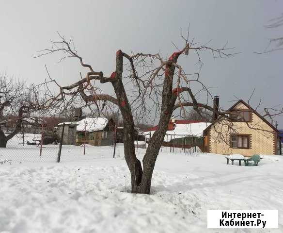 Профессиональная обрезка плодовых деревьев Воронеж - изображение 1