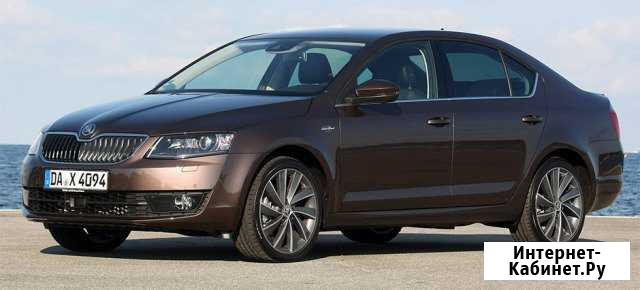 Прокат автомобилей Skoda Octavia АКПП 2016г в С-Пб Санкт-Петербург - изображение 1
