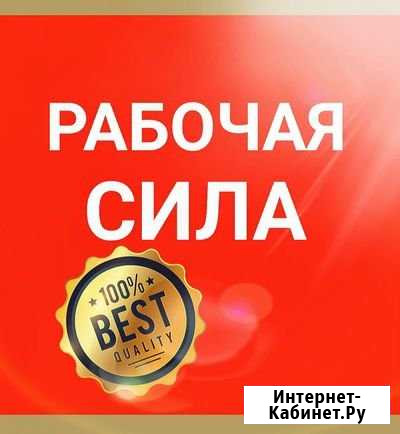 Разнорабочие. Грузчики. Демонтаж, Спил Севастополь - изображение 1