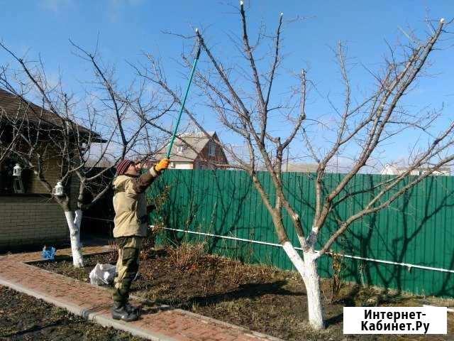 Обрезка плод деревьев, хвойников, дек.Опрыскивание Ростов-на-Дону - изображение 1