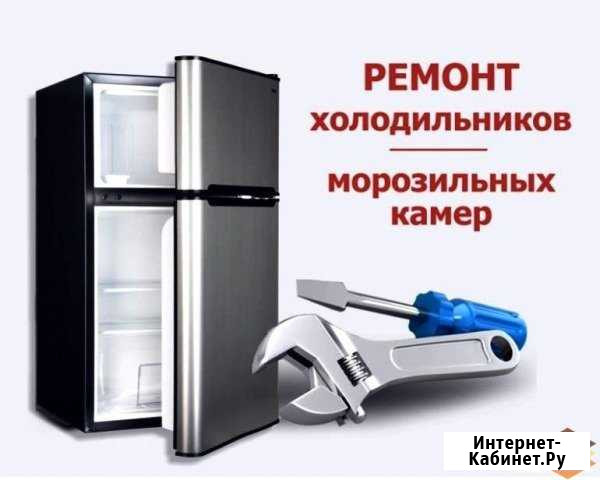 Ремонт холодильников и бытовой тех-ки на дому Лянтор - изображение 1
