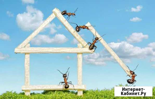 Отделочные и строительные работы Старица - изображение 1