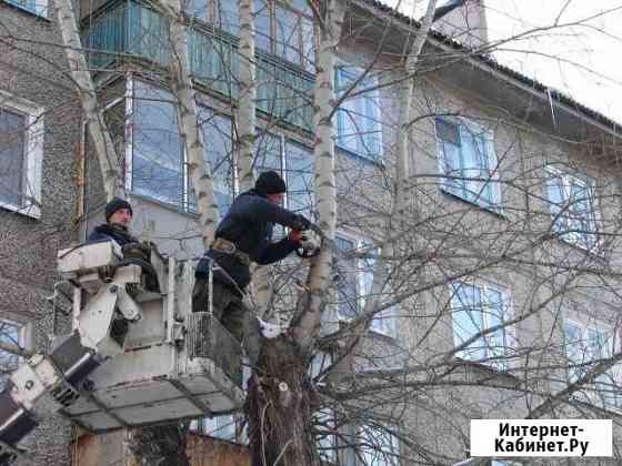 Опиловка деревьев Лебедянь