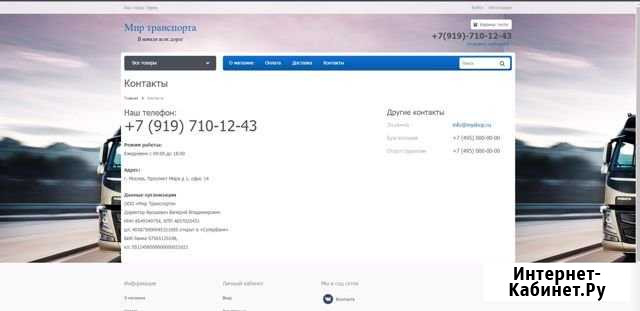 Создание онлайн магазина, сайта Пермь - изображение 1