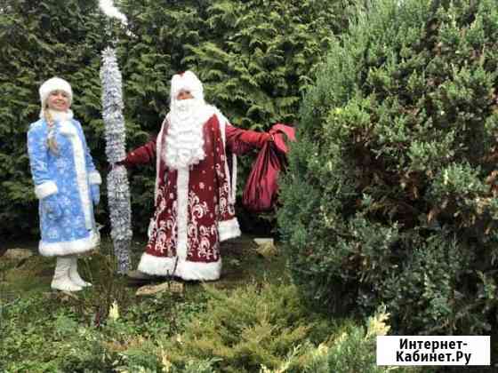 Деда Мороз и Снегурочка Тула