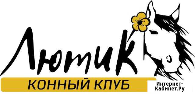 Катание на лошадях г.Глазов Глазов - изображение 1
