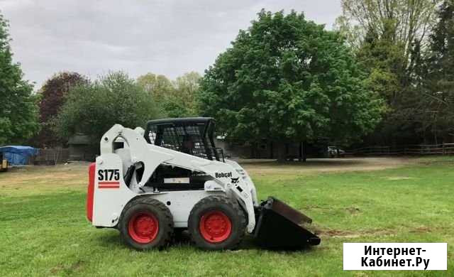 Аренда Минипогрузчика (услуги Бобкет s175) Bobcat Ростов-на-Дону - изображение 1