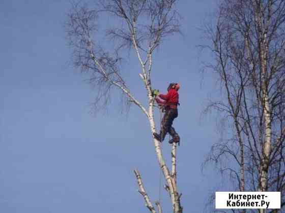 Помогу спилить дерево, на дачах, кладбище Северодвинск