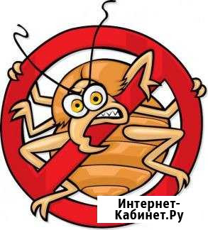 Уничтожение клопов, тараканов Усолье-Сибирское - изображение 1