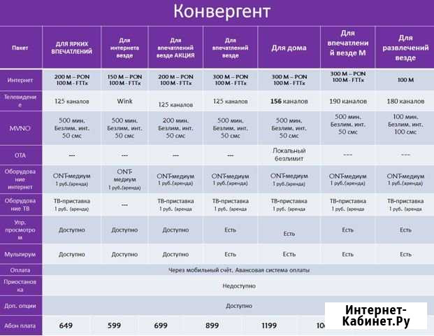 Доступ в сеть Интернет к Новому году Калининград - изображение 1