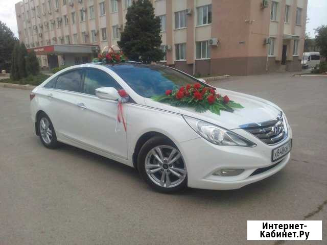 Мероприятия праздники Сальск - изображение 1