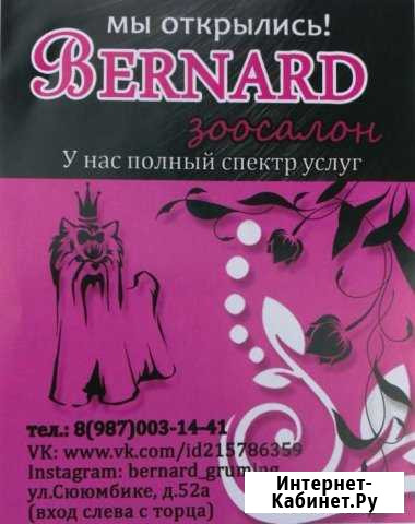 Стрижка собак и кошек. Профессиональный груминг Нижнекамск - изображение 1
