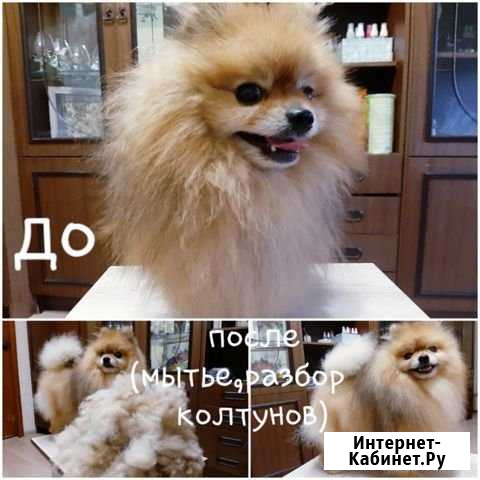 Груминг Королев - изображение 1