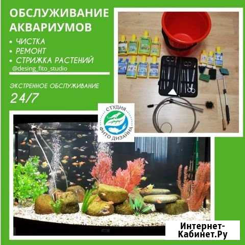 Обслуживание аквариума Краснодар - изображение 1