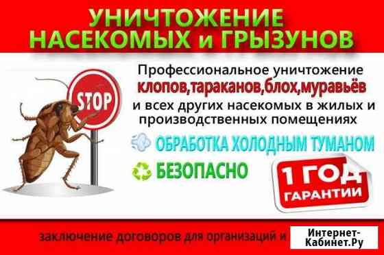 Уничтожение клопов тараканов муравьев Красноярск Е Красноярск