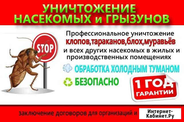 Уничтожение клопов тараканов муравьев Красноярск Е Красноярск - изображение 1