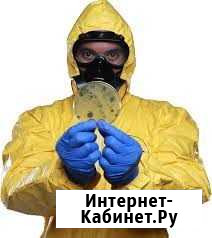 Уничтожение клопов, тараканов с гарантией 3 года Новосибирск - изображение 1