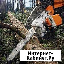 Удаление и санитарная обрезка деревьев Саранск - изображение 1