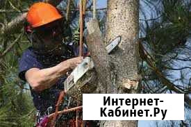 Спил деревьев Кисловодск - изображение 1