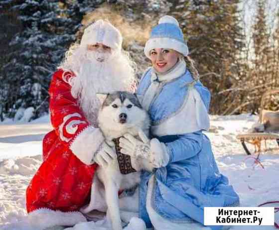 Хаски + Дед Мороз и Снегурочка Ангарск