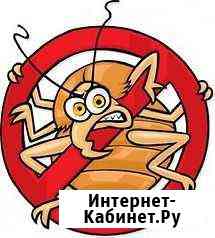 Уничтожение насекомых тараканов. клопов. блох Хабаровск