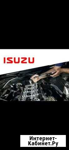Ремонт дизельных двигателей isuzu Гайдук - изображение 1