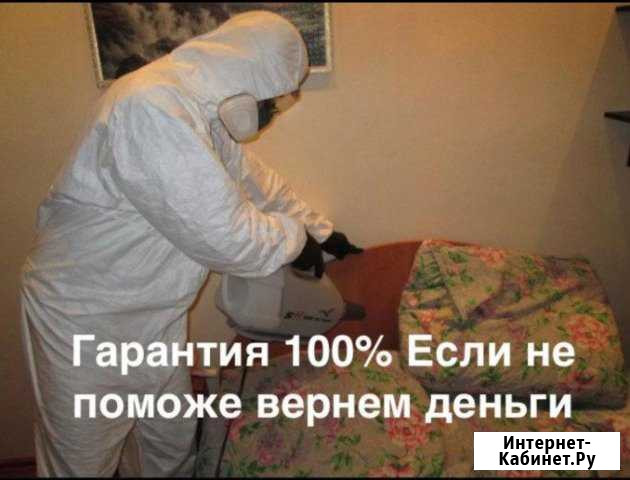 Уничтожение клещей, клопов, тараканов Краснокамск - изображение 1