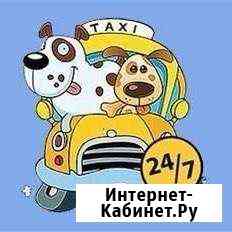 Зоотакси Салават