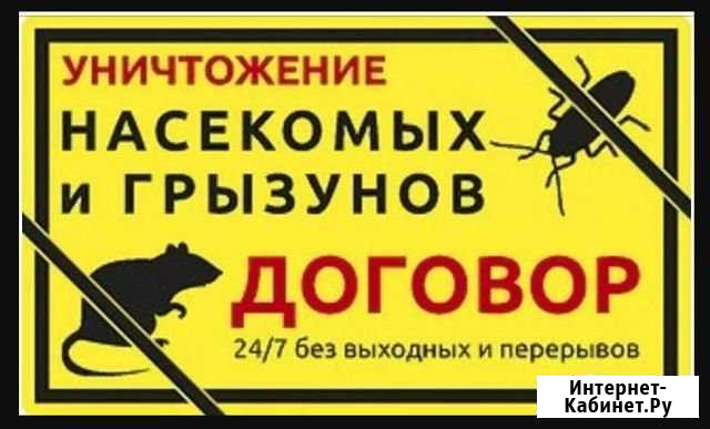Уничтожение тараканов клопов клещей Тихорецк Тихорецк - изображение 1